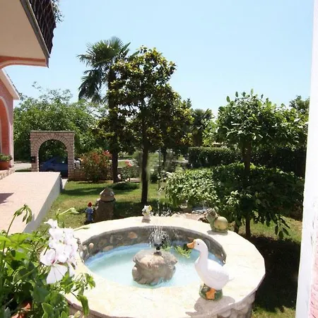 Darinka Porec
