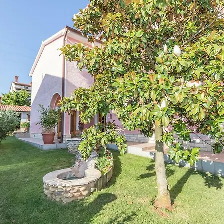 Apartman Darinka *